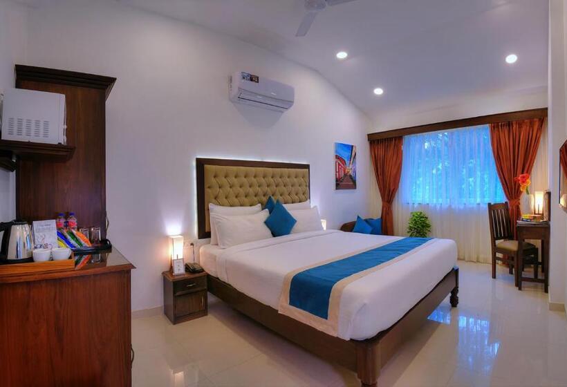 Superior Szoba, Treehouse Nova