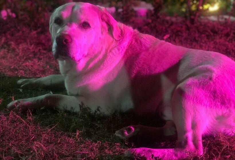 Cabana, Astraal Resorts And Spa