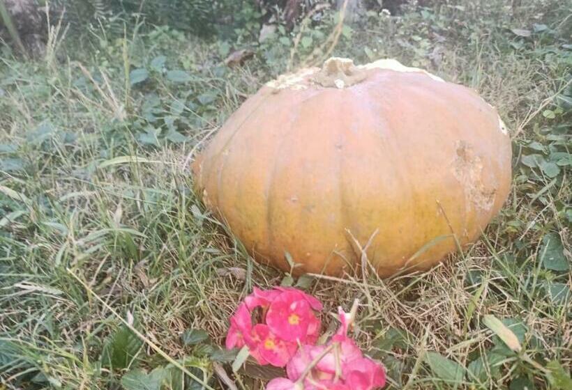 Cabana, Astraal Resorts And Spa