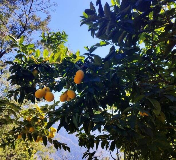 Quarto Estandar Cama King, Astraal Resorts And Spa