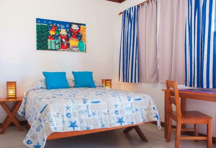 اتاق استاندارد پلاس, Los Corales