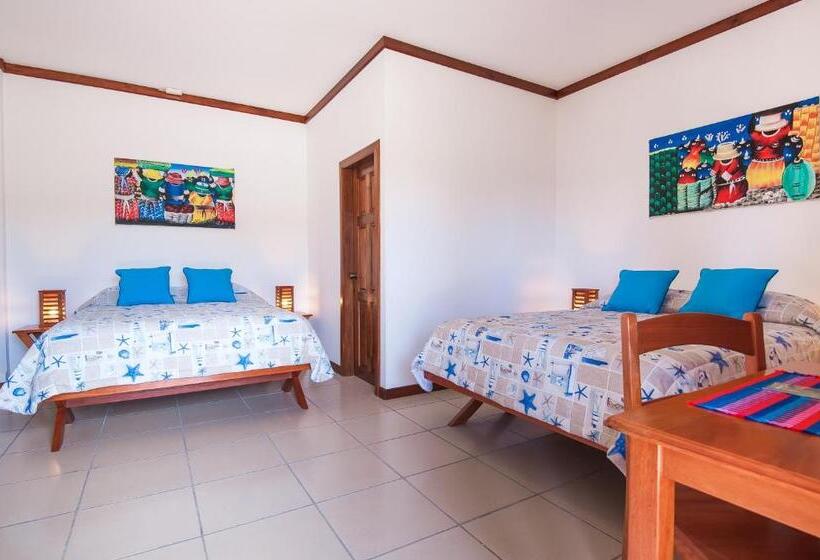 اتاق استاندارد پلاس, Los Corales