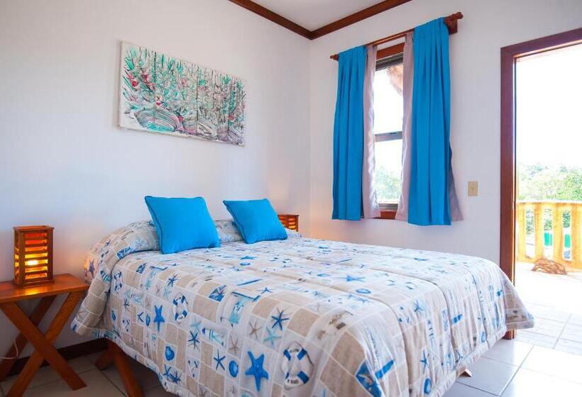 اتاق استاندارد, Los Corales