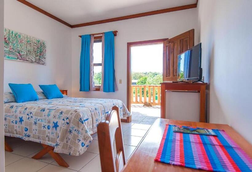 اتاق استاندارد, Los Corales