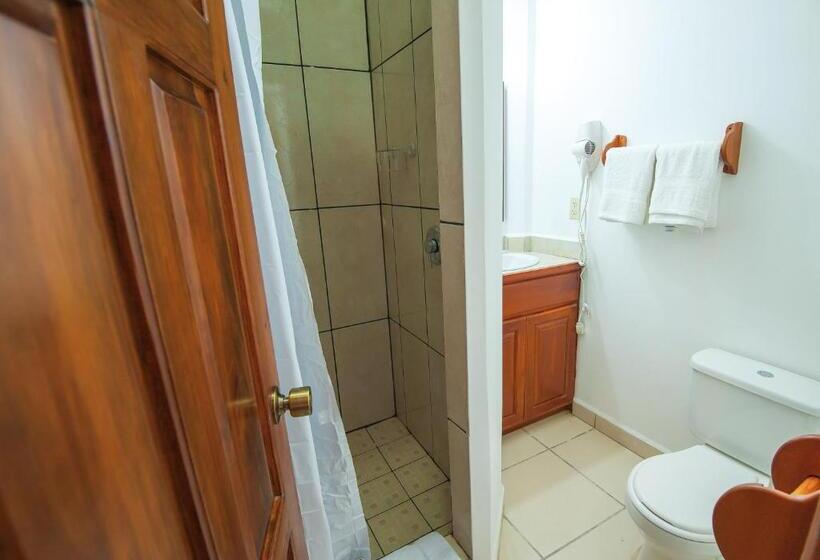 اتاق اکونومی, Los Corales