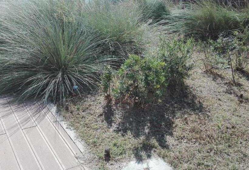 غرفة ديلوكس مزودة بشرفة, I Fiori