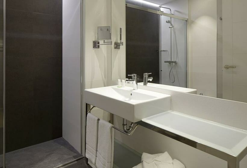 غرفة ديلوكس, Arrizul Congress