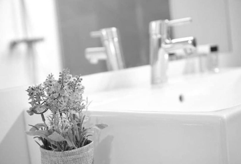 غرفة قياسية فردية, Arrizul Congress