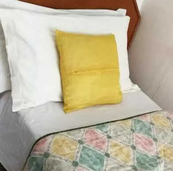 スタンダードシングルルーム, Ristorante Albergo Roma