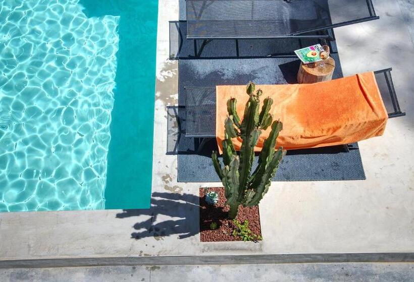 Номер Стандарт с Балконом, Arty Provence, Piscine Chauffée