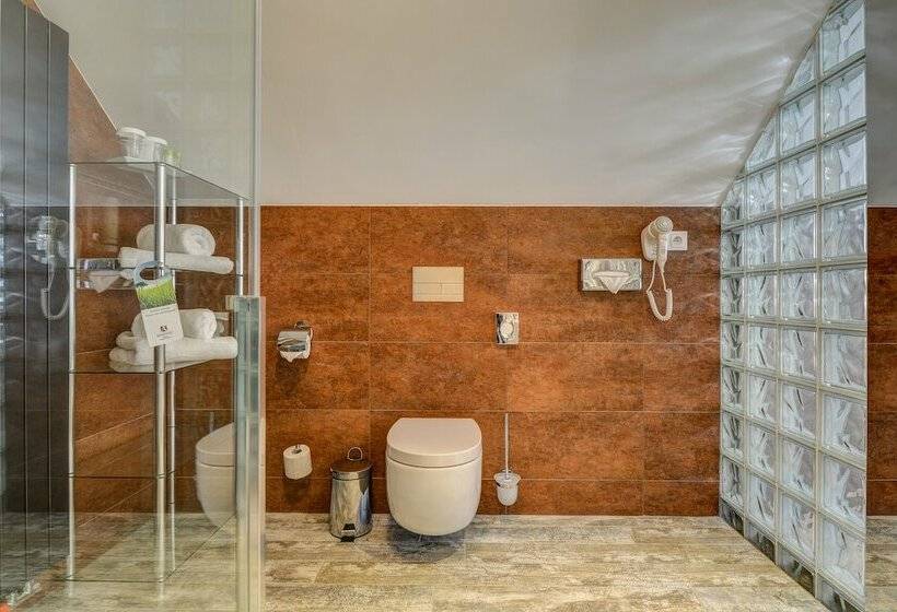 高级大房间, Amenity Hotel & Resort špindlerův Mlýn