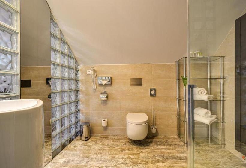 小型套房, Amenity Hotel & Resort špindlerův Mlýn