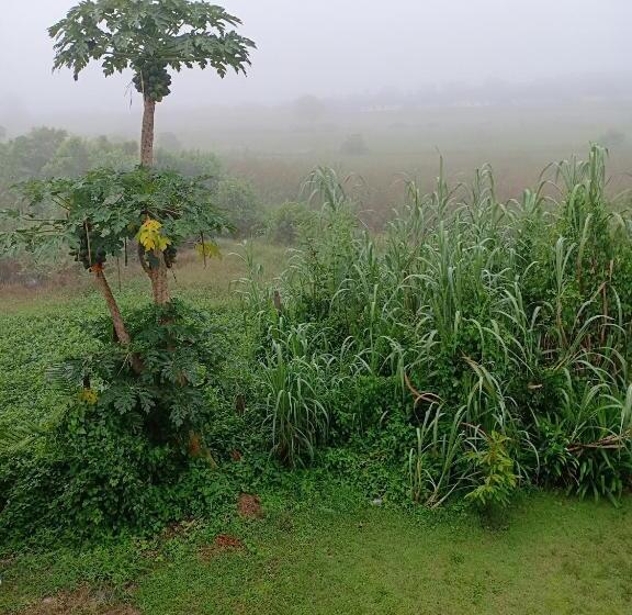 غرفة ديلوكس, Greenfield Residence