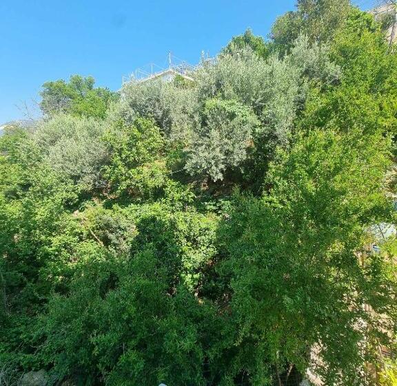 חדר סטנדרט נוף לגינה, Ble Ble Vlore