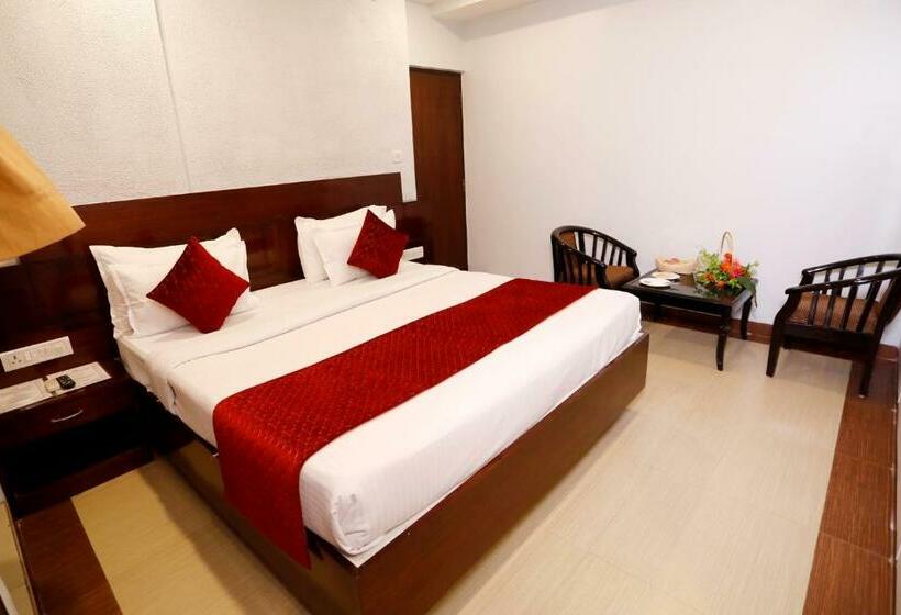 エクゼクティブルーム, Dolphin International