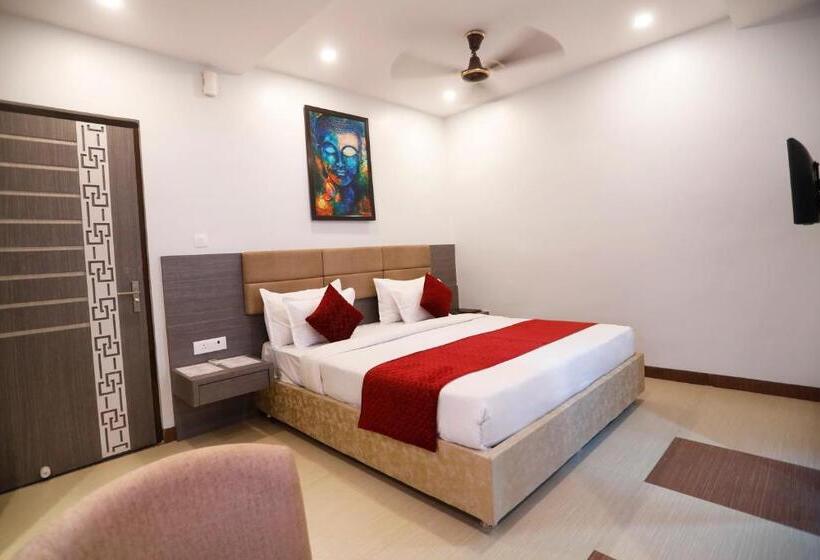 エクゼクティブルーム, Dolphin International