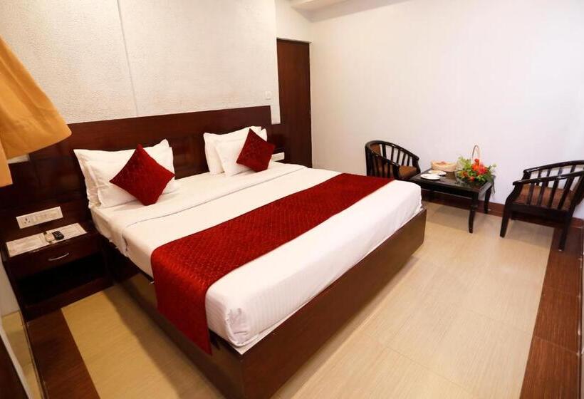 エクゼクティブルーム, Dolphin International