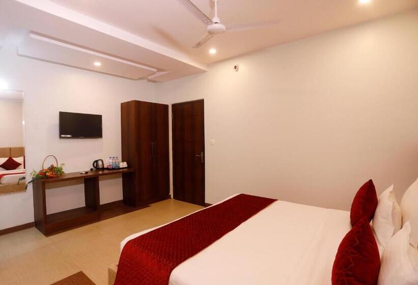 エクゼクティブルーム, Dolphin International