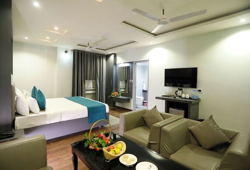 スタンダードルーム, Dolphin International