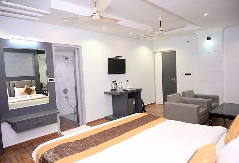 スタンダードルーム, Dolphin International