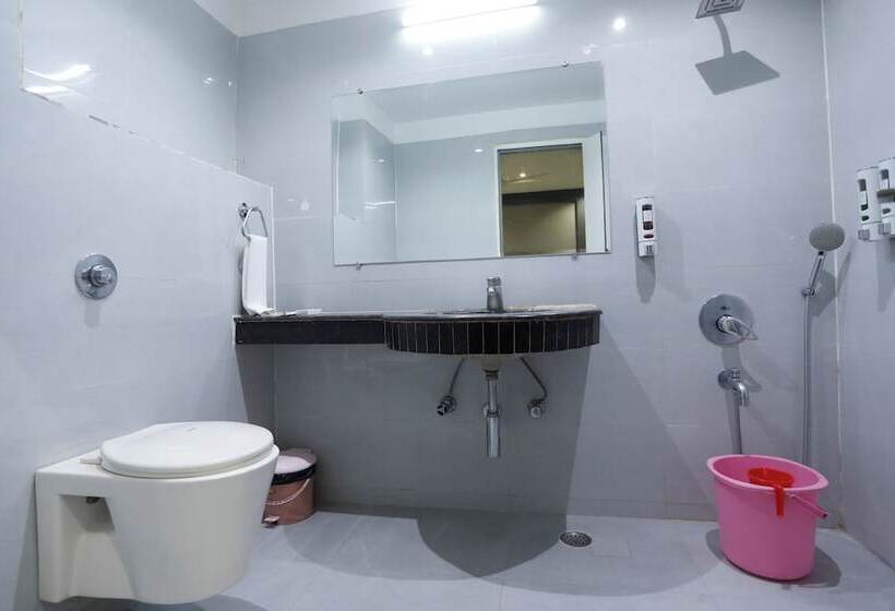 スタンダードルーム, Dolphin International