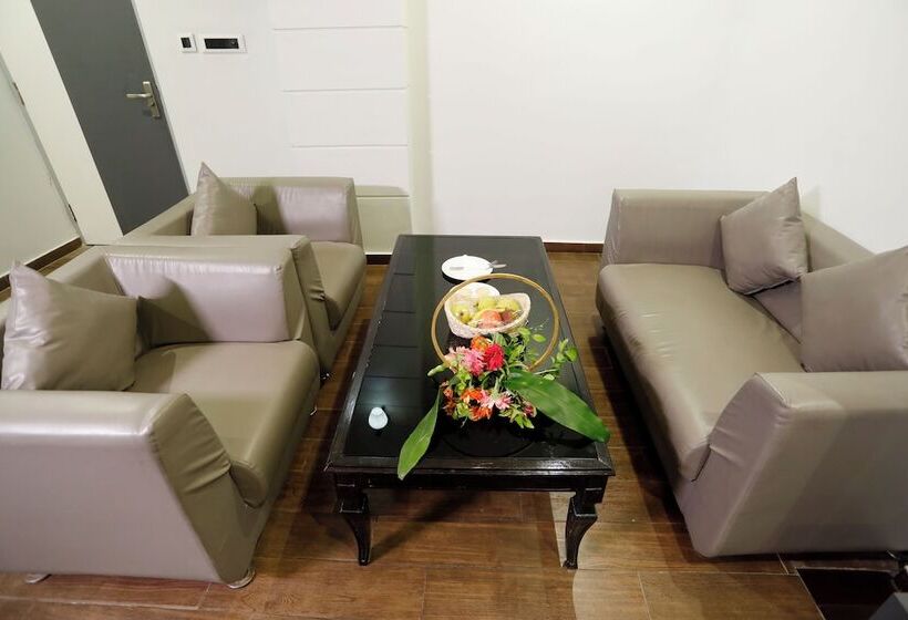 スタンダードルーム, Dolphin International