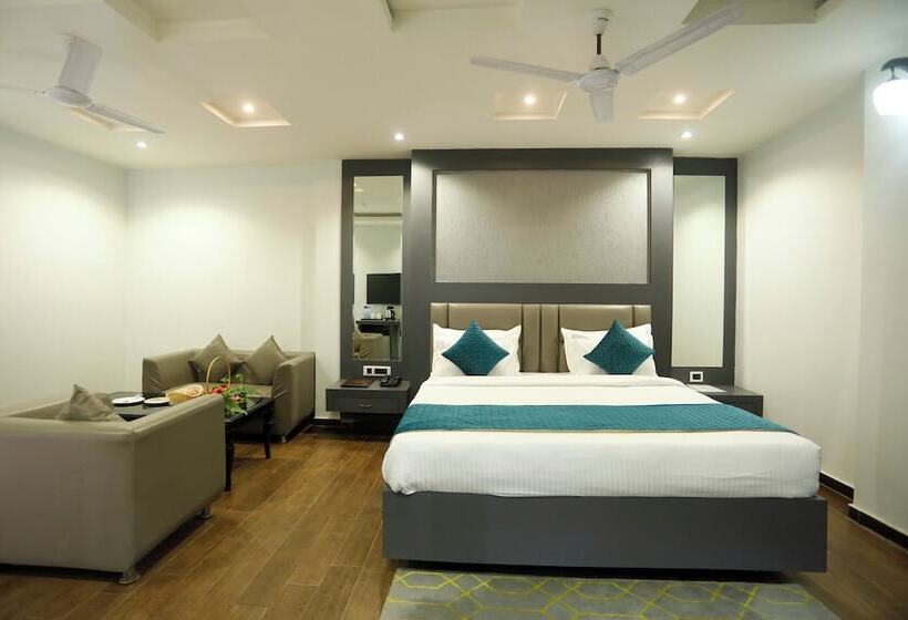 スタンダードルーム, Dolphin International