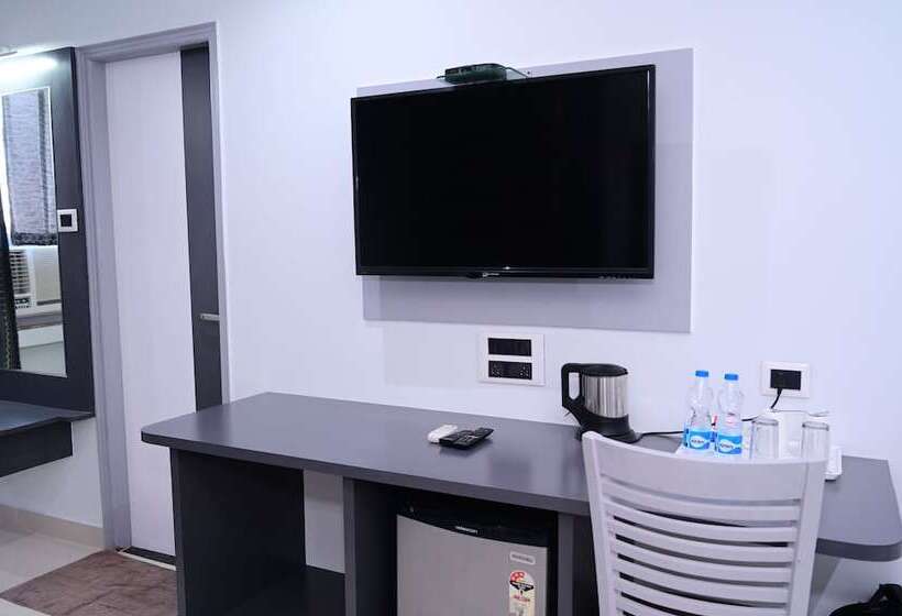 スタンダードルーム, Dolphin International