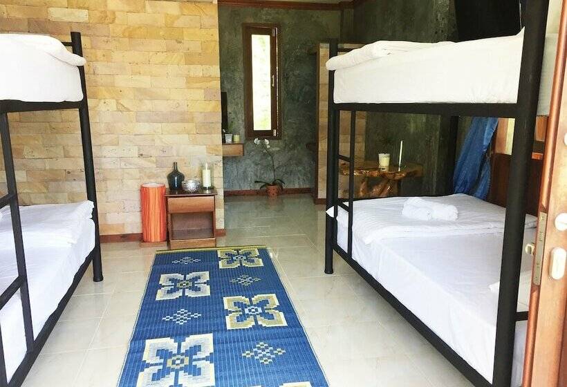 سرير فى غرفة مشتركه, Wonderland Healing Center