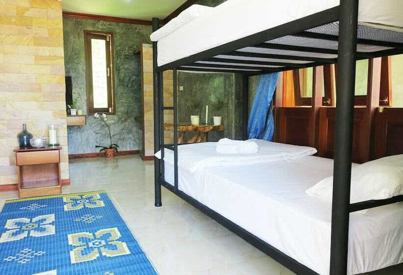 سرير فى غرفة مشتركه, Wonderland Healing Center