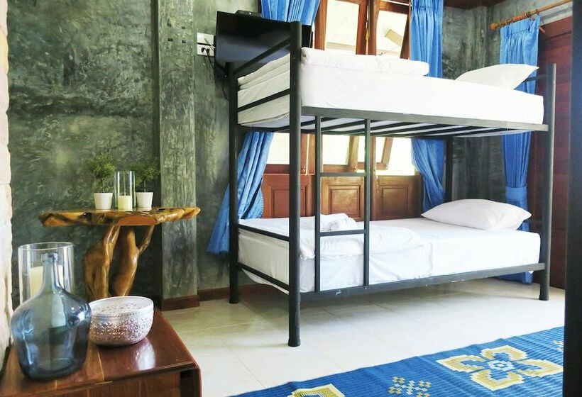 سرير فى غرفة مشتركه, Wonderland Healing Center