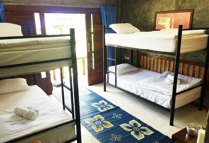 共用房间的床, Wonderland Healing Center