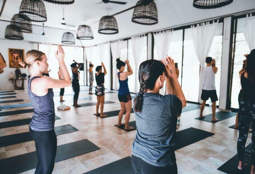 جناح سرير كينج, Wonderland Healing Center