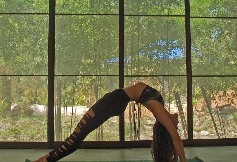 جناح سرير كينج, Wonderland Healing Center