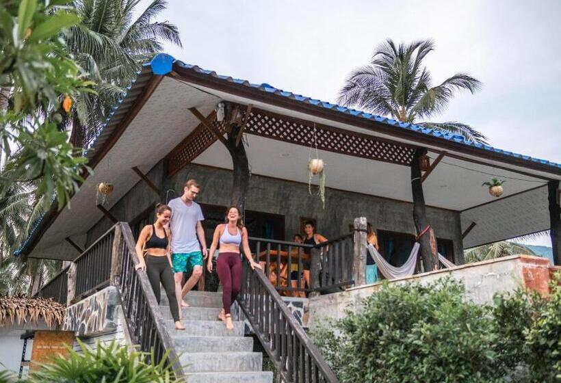 جناح سرير كينج, Wonderland Healing Center