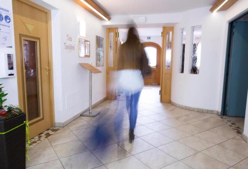 חדר סטנדרט עם מרפסת, Almhotel Bergerhof