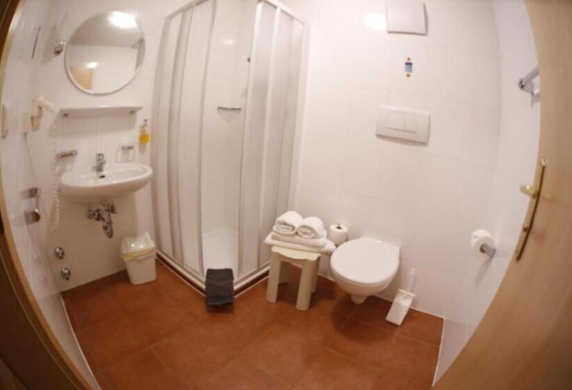 Номер Economy, Almhotel Bergerhof
