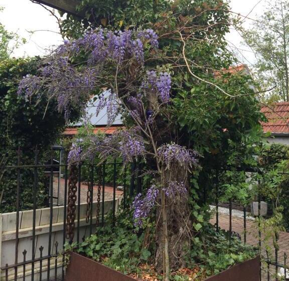 침실 1개 주택, B&b De Lotus