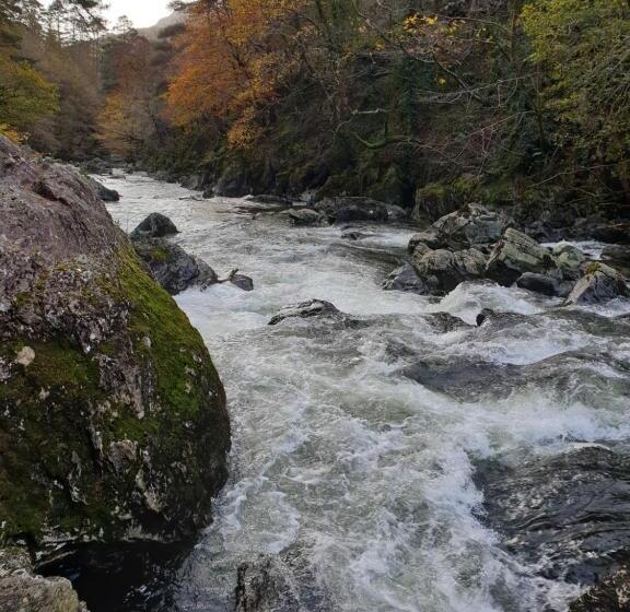 חדר סופריור, The Courthouse