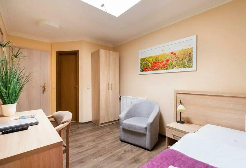 Standard Yhden Hengen Huone, Cityhotel Bernburg