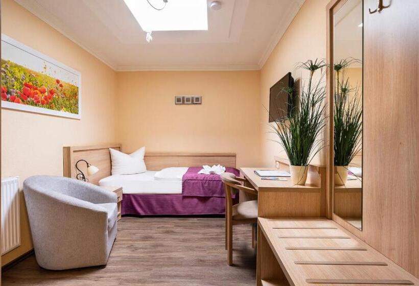 Номер Стандарт Индивидуальный, Cityhotel Bernburg