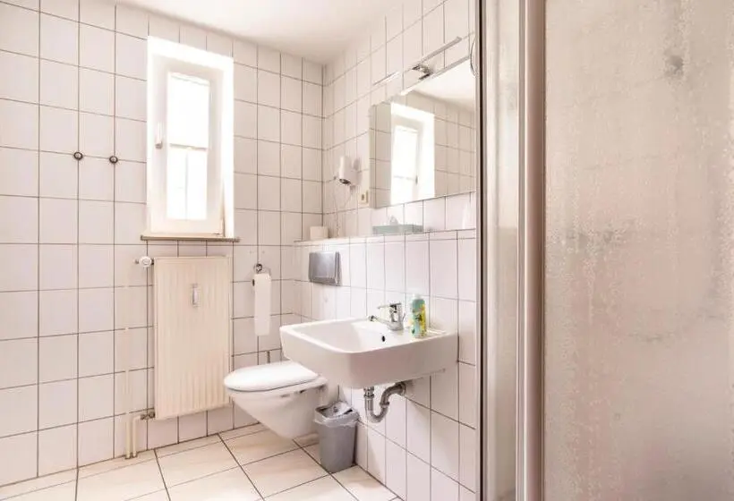 Standard-huone, Cityhotel Bernburg