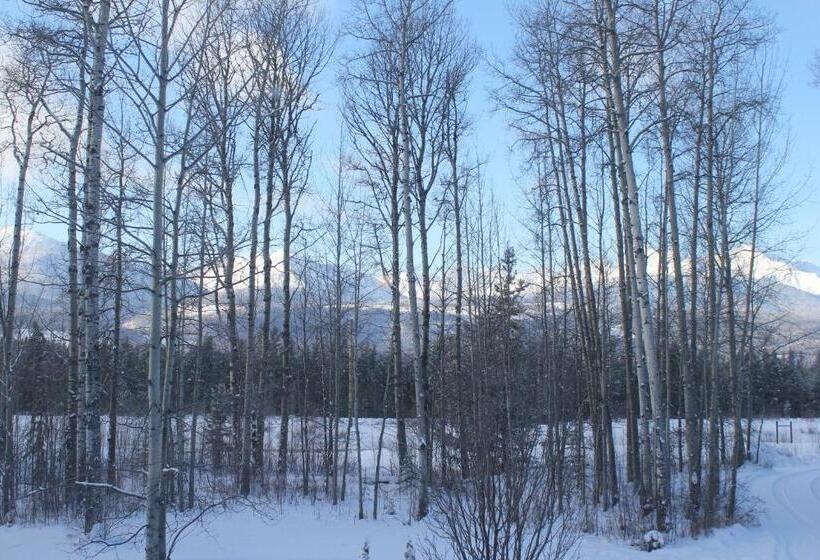 クイーンサイズベッドのスタンダードルーム, Cougar Mountain Lodge B&b