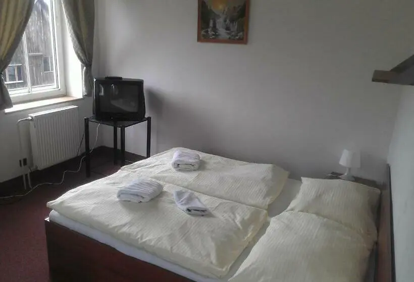 اتاق استاندارد, Bellevue
