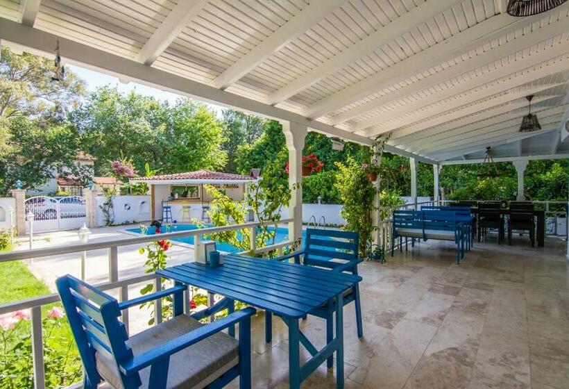 エコノミールーム, Calypso Cozy Suites