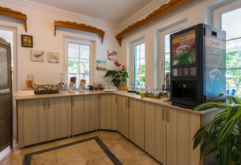 デラックススタジオ, Calypso Cozy Suites