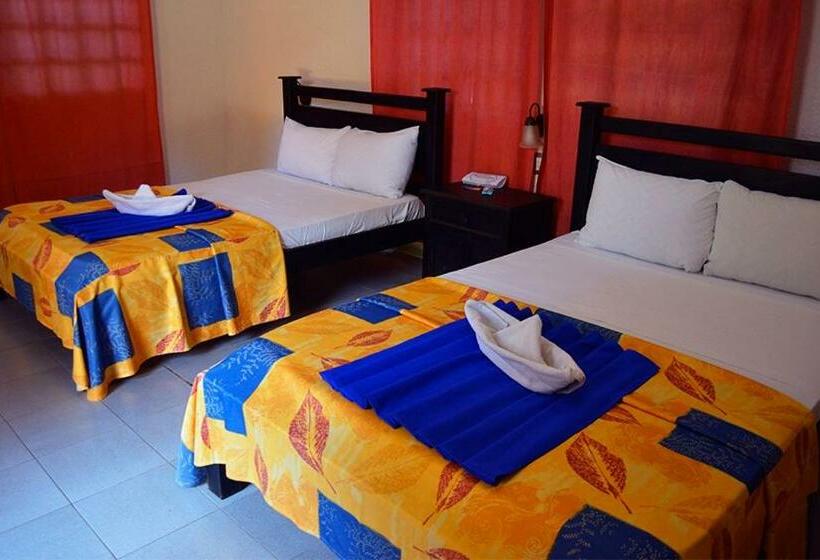 标准间, Casa Kolping