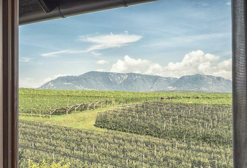 סוויטה, Das Wanda