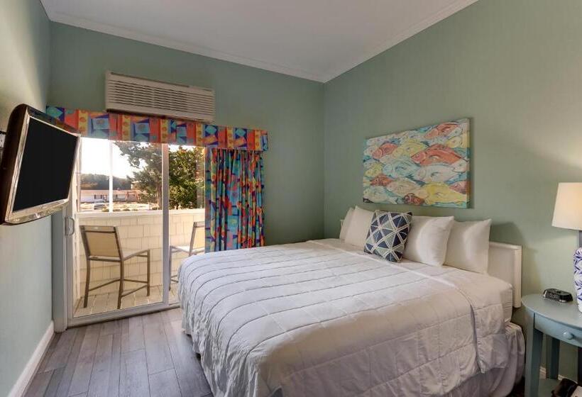 غرفة قياسية سرير كينج, Palm Suites