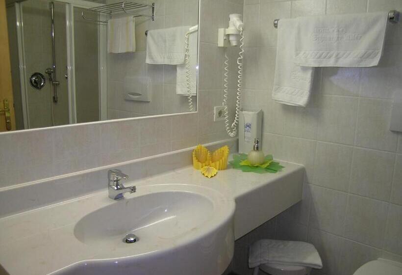 バルコニー付きスタンダードルーム, Schwarzer Adler